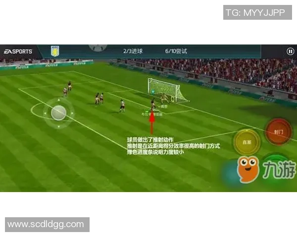 足球门批发市场分析与选购指南助您轻松找到理想产品